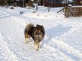 djago (77)